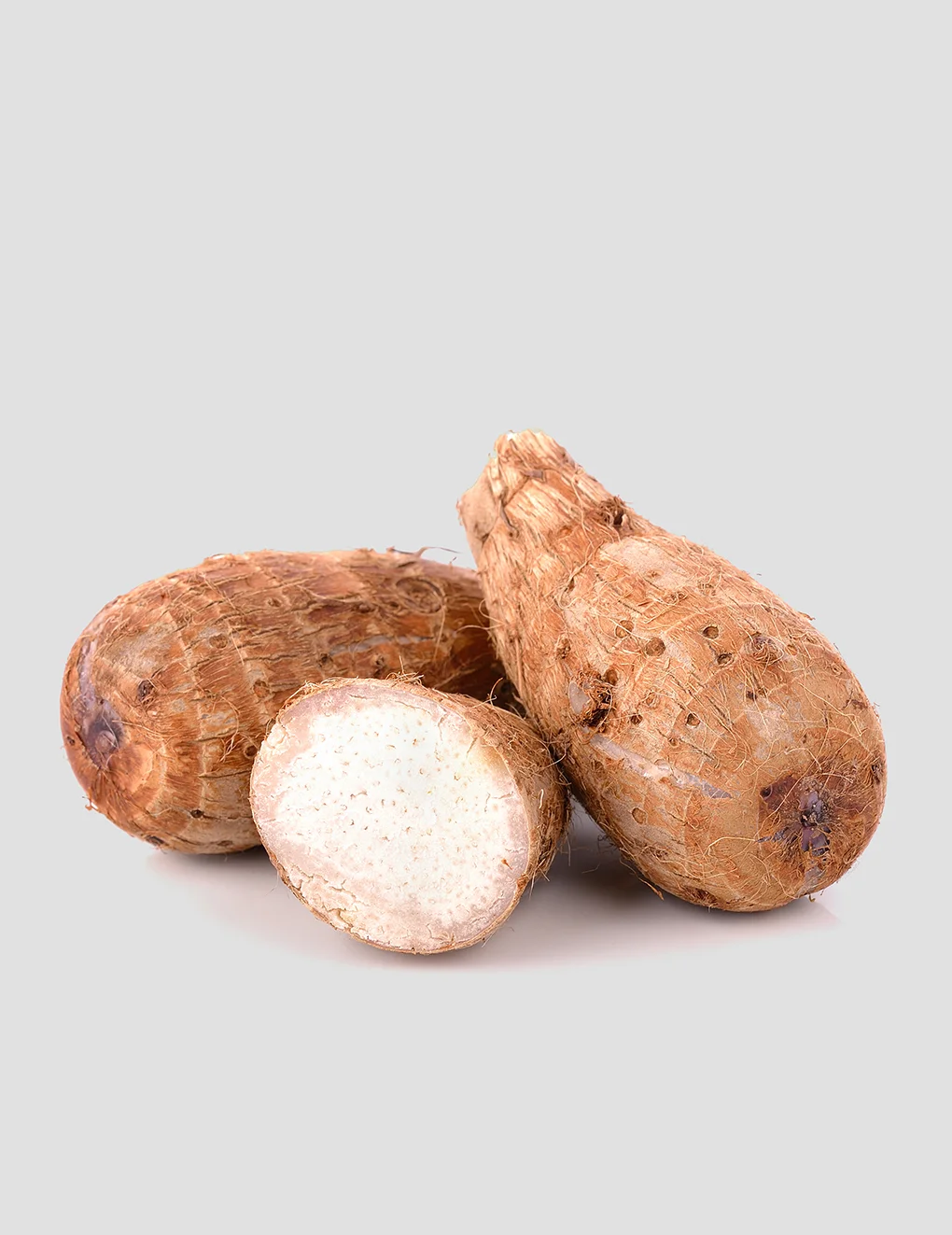 Colocasia Root