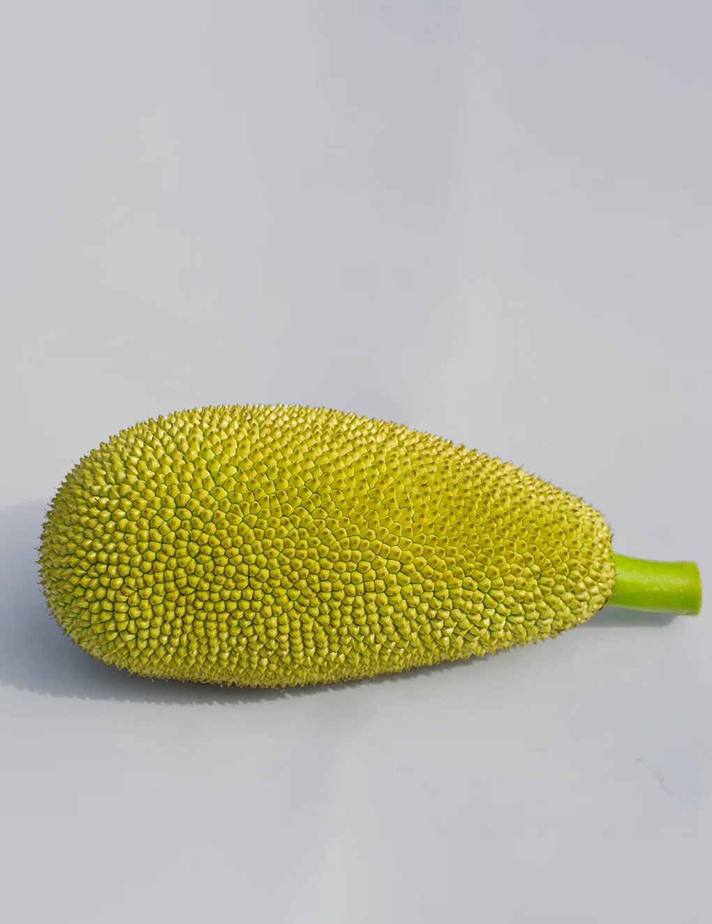 Jackfruit